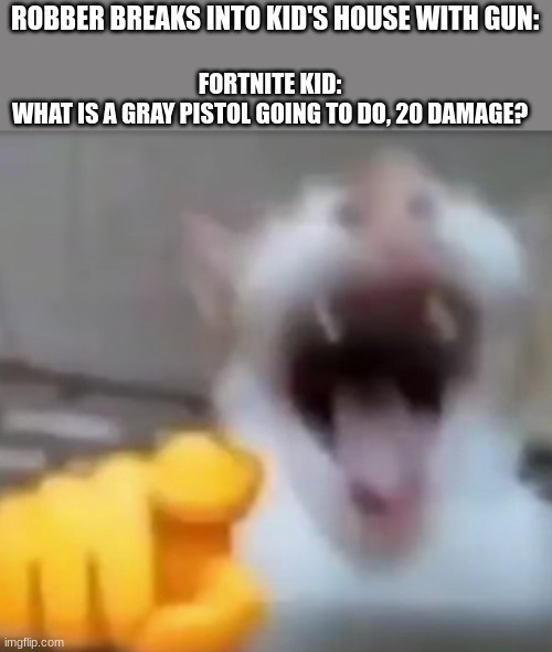 :skull: | FORTNITE KID:
WHAT IS A GRAY PISTOL GOING TO DO, 20 DAMAGE? ROBBER BREAKS INTO KID'S HOUSE WITH GUN: | image tagged in cat pointing and laughing | made w/ Imgflip meme maker