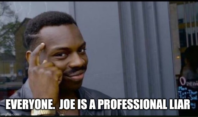 Thinking Black Man | EVERYONE.  JOE IS A PROFESSIONAL LIAR | image tagged in thinking black man | made w/ Imgflip meme maker