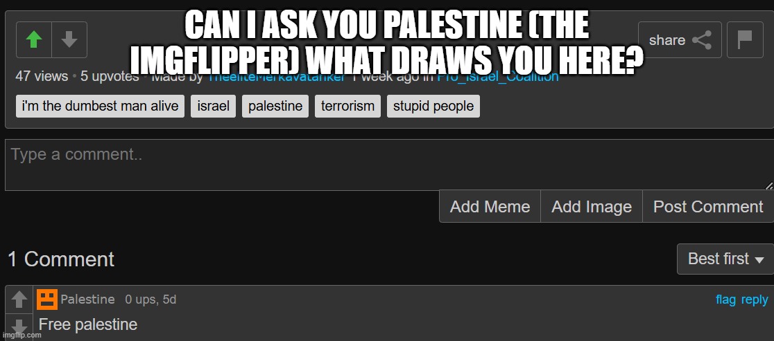 May I ask? | CAN I ASK YOU PALESTINE (THE IMGFLIPPER) WHAT DRAWS YOU HERE? | image tagged in memes | made w/ Imgflip meme maker