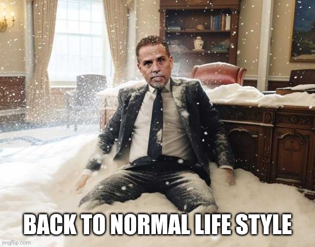 Hunter Biden | BACK TO NORMAL LIFE STYLE | image tagged in hunter biden | made w/ Imgflip meme maker