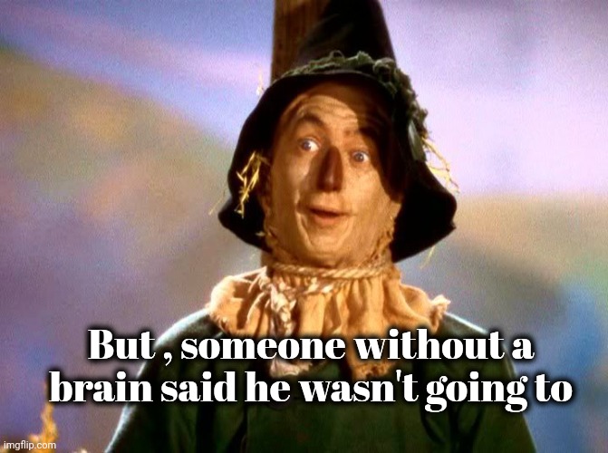 Wizard of Oz Scarecrow | But , someone without a brain said he wasn't going to | image tagged in wizard of oz scarecrow | made w/ Imgflip meme maker