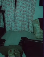 AFK dead temp ig. Blank Meme Template