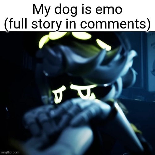 Horrible truth | My dog is emo (full story in comments) | image tagged in depressed n | made w/ Imgflip meme maker