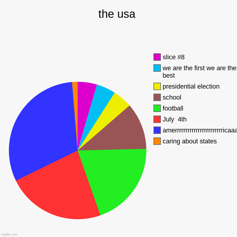 the usa | caring about states, amerrrrrrrrrrrrrrrrrrrrrrricaaaaaaaaaaaaaa, July  4th, football, school, presidential election, we are the fi | image tagged in charts,pie charts | made w/ Imgflip chart maker