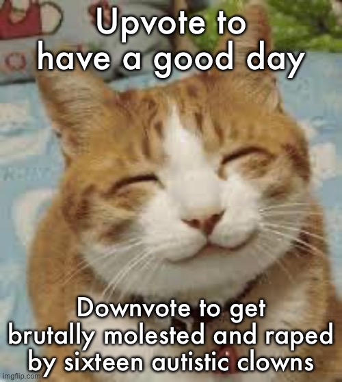 Happy cat | Upvote to have a good day; Downvote to get brutally molested and raped by sixteen autistic clowns | image tagged in happy cat | made w/ Imgflip meme maker