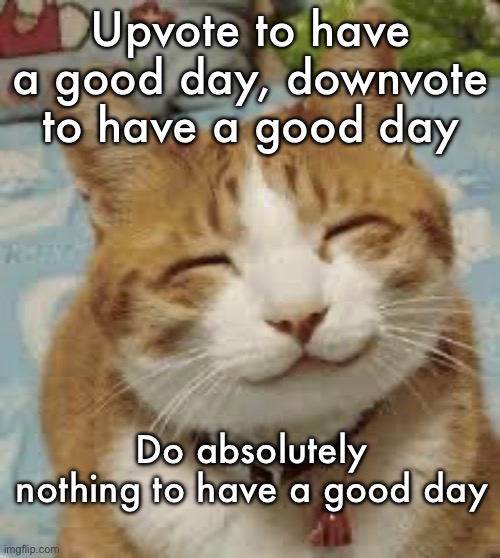 Have a good day :) | Upvote to have a good day, downvote to have a good day; Do absolutely nothing to have a good day | image tagged in happy cat | made w/ Imgflip meme maker