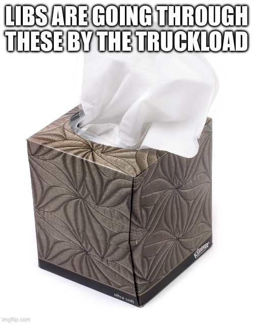 Tissue | LIBS ARE GOING THROUGH THESE BY THE TRUCKLOAD | image tagged in tissue | made w/ Imgflip meme maker