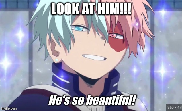 Cotton-Candy Colored Todoroki!!!!! | LOOK AT HIM!!! He's so beautiful! | image tagged in my love,my life,my heart | made w/ Imgflip meme maker