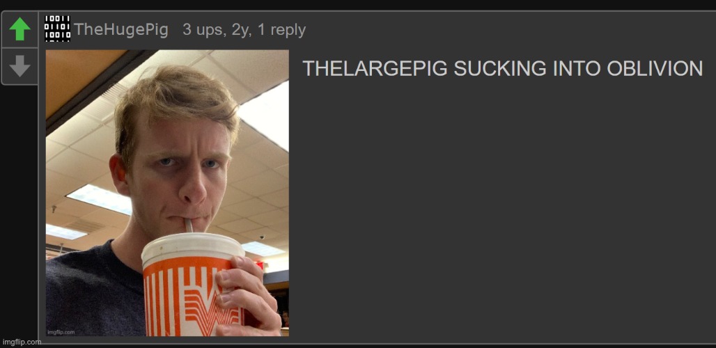 if this image gets to 100 upvotes i will actually change my name to TheHugePig | image tagged in thelargepig sucking into oblivion | made w/ Imgflip meme maker