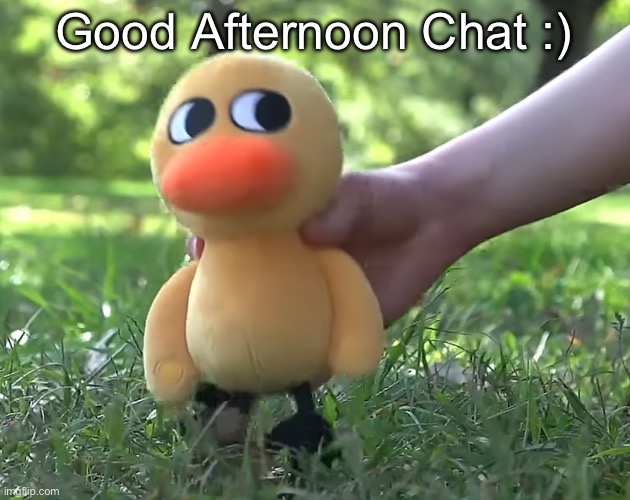 duck song plushie | Good Afternoon Chat :) | image tagged in duck song plushie | made w/ Imgflip meme maker