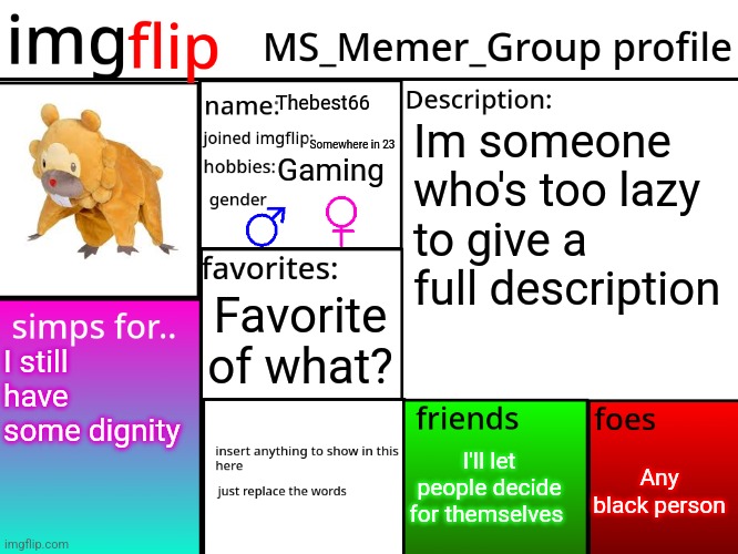 MSMG Profile | Thebest66; Im someone who's too lazy to give a full description; Somewhere in 23; Gaming; Favorite of what? I still have some dignity; Any black person; I'll let people decide for themselves | image tagged in msmg profile | made w/ Imgflip meme maker