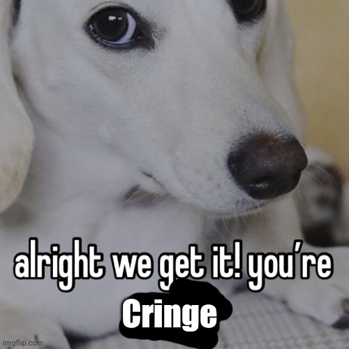 alright we get it you're gay | Cringe | image tagged in alright we get it you're gay | made w/ Imgflip meme maker