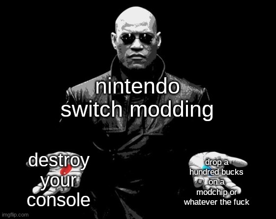 me waiting for safe cheap option | nintendo switch modding; drop a hundred bucks on a modchip or whatever the fuck; destroy your console | image tagged in morpheus matrix blue pill red pill | made w/ Imgflip meme maker