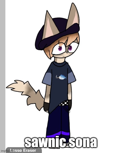 sawnic sona | made w/ Imgflip meme maker