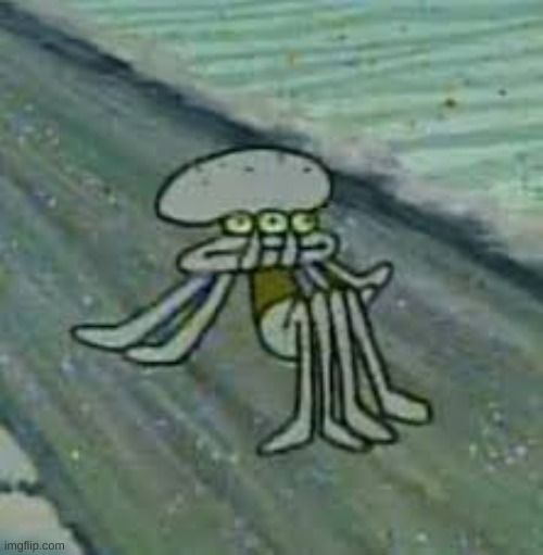 new template | image tagged in squidweird | made w/ Imgflip meme maker