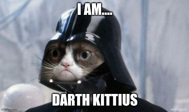 Grumpy Cat Star Wars | I AM.... DARTH KITTIUS | image tagged in memes,grumpy cat star wars,grumpy cat | made w/ Imgflip meme maker