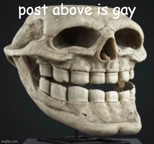 skeletroll | post above is gay | image tagged in skeletroll | made w/ Imgflip meme maker