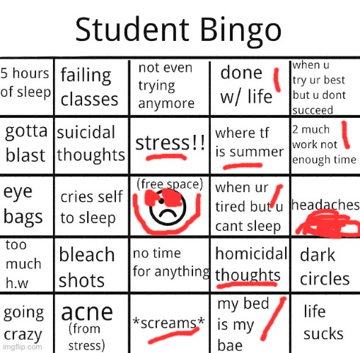 student bingo | image tagged in student bingo | made w/ Imgflip meme maker