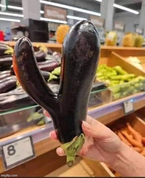 Double Penetration Eggplant | image tagged in double penetration eggplant | made w/ Imgflip meme maker