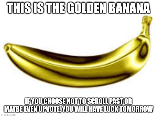 The Golden Bananana | THIS IS THE GOLDEN BANANA; IF YOU CHOOSE NOT TO SCROLL PAST OR MAYBE EVEN UPVOTE, YOU WILL HAVE LUCK TOMORROW | image tagged in banana | made w/ Imgflip meme maker