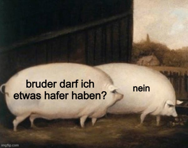 bruder darf ich etwas hafer haben? | bruder darf ich etwas hafer haben? nein | made w/ Imgflip meme maker