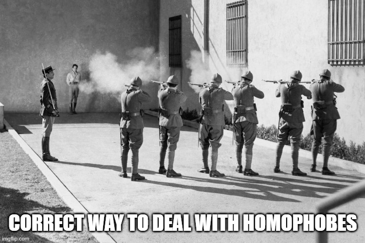 im not wrong | CORRECT WAY TO DEAL WITH HOMOPHOBES | image tagged in firing squad,death to homophobes | made w/ Imgflip meme maker