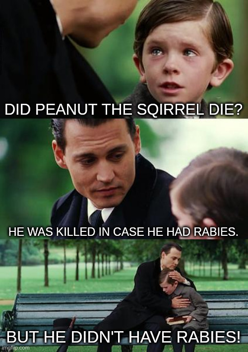 Little Peanut RIP | DID PEANUT THE SQIRREL DIE? HE WAS KILLED IN CASE HE HAD RABIES. BUT HE DIDN'T HAVE RABIES! | image tagged in memes,finding neverland | made w/ Imgflip meme maker