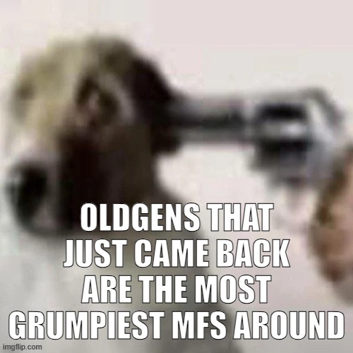 dog gunpoint | OLDGENS THAT JUST CAME BACK ARE THE MOST GRUMPIEST MFS AROUND | image tagged in dog gunpoint | made w/ Imgflip meme maker