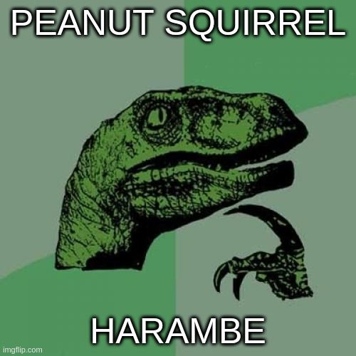 Which Martyr | PEANUT SQUIRREL; HARAMBE | image tagged in memes,philosoraptor | made w/ Imgflip meme maker