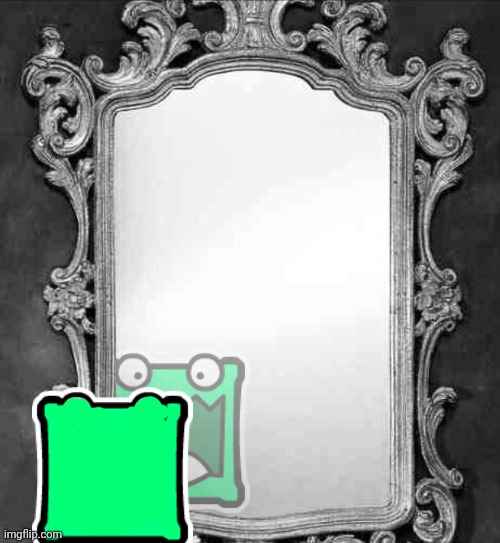 A mulpan looking at a mirror | image tagged in mirror | made w/ Imgflip meme maker