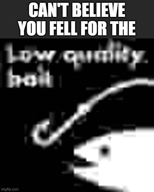 low quality bait | CAN'T BELIEVE YOU FELL FOR THE | image tagged in low quality bait | made w/ Imgflip meme maker