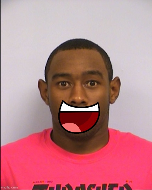 Tyler Mugshot | image tagged in tyler mugshot | made w/ Imgflip meme maker