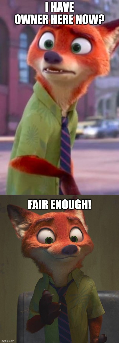 odd event lmao | I HAVE OWNER HERE NOW? FAIR ENOUGH! | image tagged in nick wilde confused,nick wilde confident | made w/ Imgflip meme maker