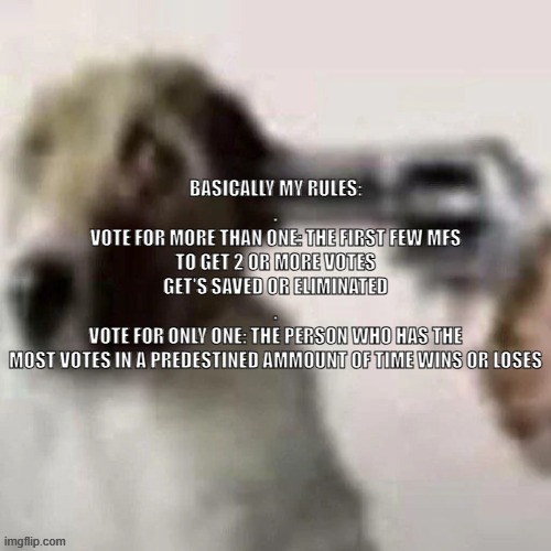 dog gunpoint | BASICALLY MY RULES:
.
VOTE FOR MORE THAN ONE: THE FIRST FEW MFS TO GET 2 OR MORE VOTES GET'S SAVED OR ELIMINATED
.
VOTE FOR ONLY ONE: THE PERSON WHO HAS THE MOST VOTES IN A PREDESTINED AMMOUNT OF TIME WINS OR LOSES | image tagged in dog gunpoint | made w/ Imgflip meme maker