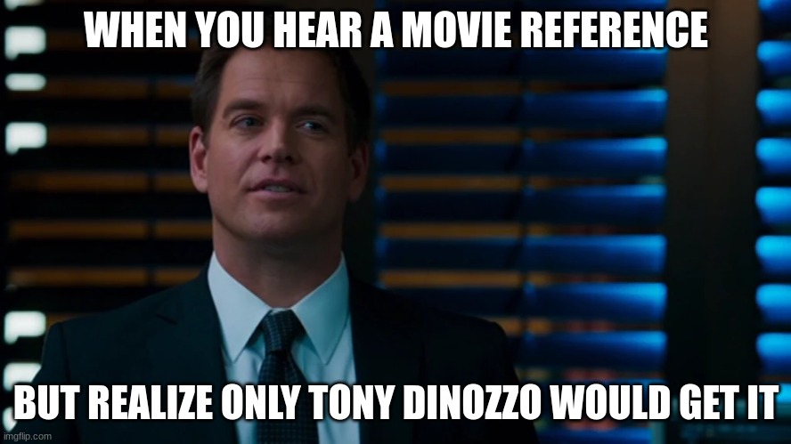 anthony dinozzo | WHEN YOU HEAR A MOVIE REFERENCE; BUT REALIZE ONLY TONY DINOZZO WOULD GET IT | image tagged in anthony dinozzo | made w/ Imgflip meme maker