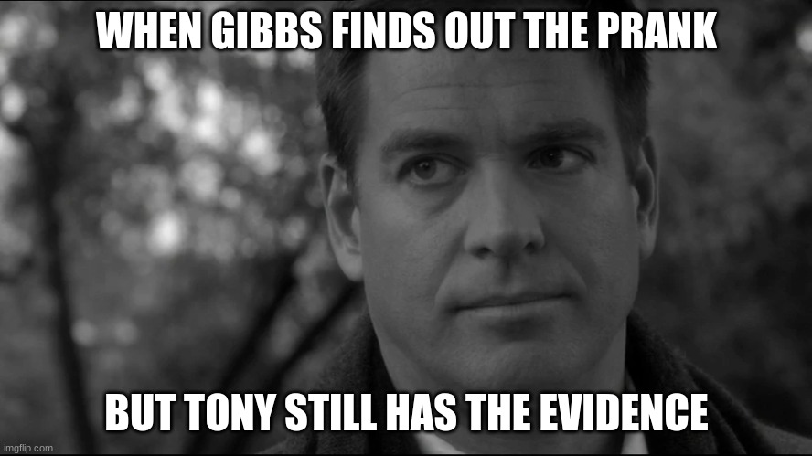 anthony dinozzo | WHEN GIBBS FINDS OUT THE PRANK; BUT TONY STILL HAS THE EVIDENCE | image tagged in anthony dinozzo | made w/ Imgflip meme maker