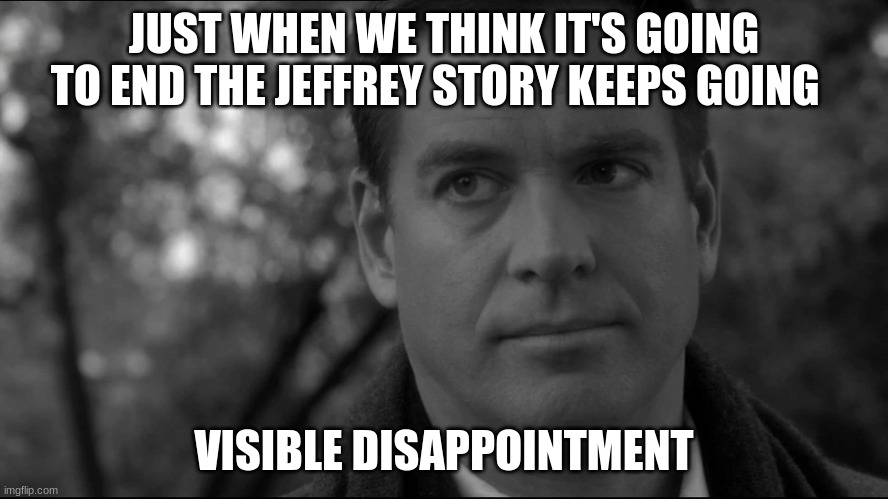 anthony dinozzo | JUST WHEN WE THINK IT'S GOING TO END THE JEFFREY STORY KEEPS GOING VISIBLE DISAPPOINTMENT | image tagged in anthony dinozzo | made w/ Imgflip meme maker