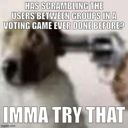 dog gunpoint | HAS SCRAMBLING THE USERS BETWEEN GROUPS IN A VOTING GAME EVER DONE BEFORE? IMMA TRY THAT | image tagged in dog gunpoint | made w/ Imgflip meme maker