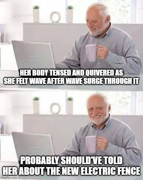 Farmer Porn | HER BODY TENSED AND QUIVERED AS SHE FELT WAVE AFTER WAVE SURGE THROUGH IT; PROBABLY SHOULD'VE TOLD HER ABOUT THE NEW ELECTRIC FENCE | image tagged in memes,hide the pain harold | made w/ Imgflip meme maker