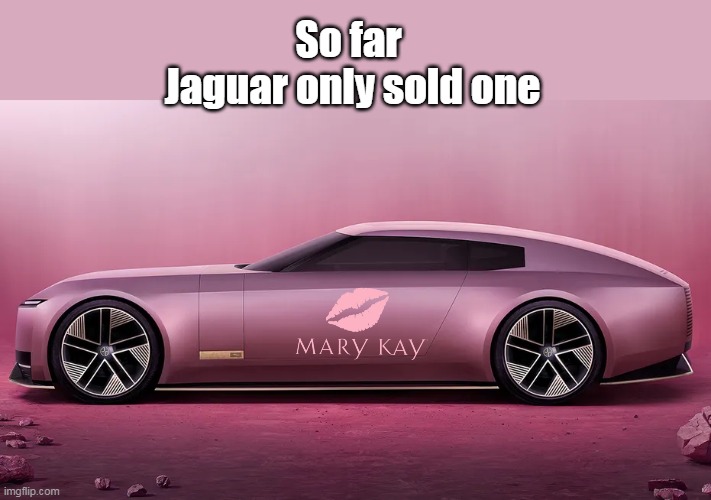 Even THE GAYS have Pooh Poohed | So far 
Jaguar only sold one | image tagged in new jaguar mary kay meme | made w/ Imgflip meme maker