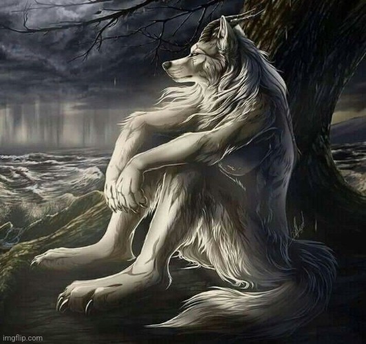 alpha wolf | image tagged in alpha wolf | made w/ Imgflip meme maker
