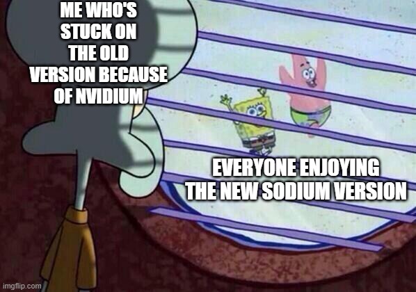 Squidward window | ME WHO'S STUCK ON THE OLD VERSION BECAUSE OF NVIDIUM; EVERYONE ENJOYING THE NEW SODIUM VERSION | image tagged in squidward window | made w/ Imgflip meme maker