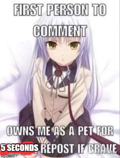 :) | 5 SECONDS | image tagged in first person to comment owns as a pet for a week | made w/ Imgflip meme maker