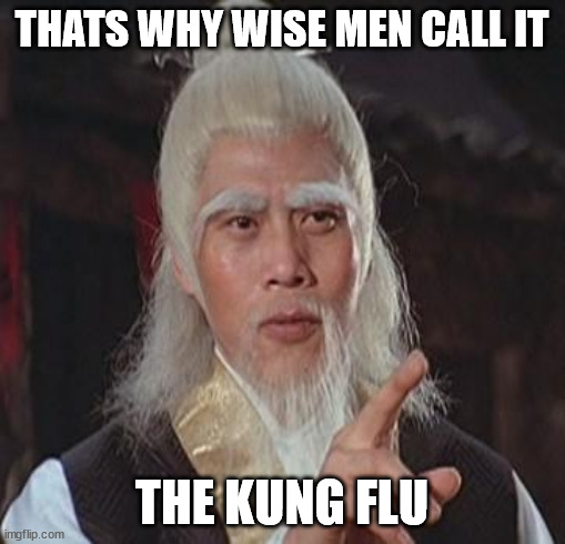 Wise Kung Fu Master | THATS WHY WISE MEN CALL IT THE KUNG FLU | image tagged in wise kung fu master | made w/ Imgflip meme maker