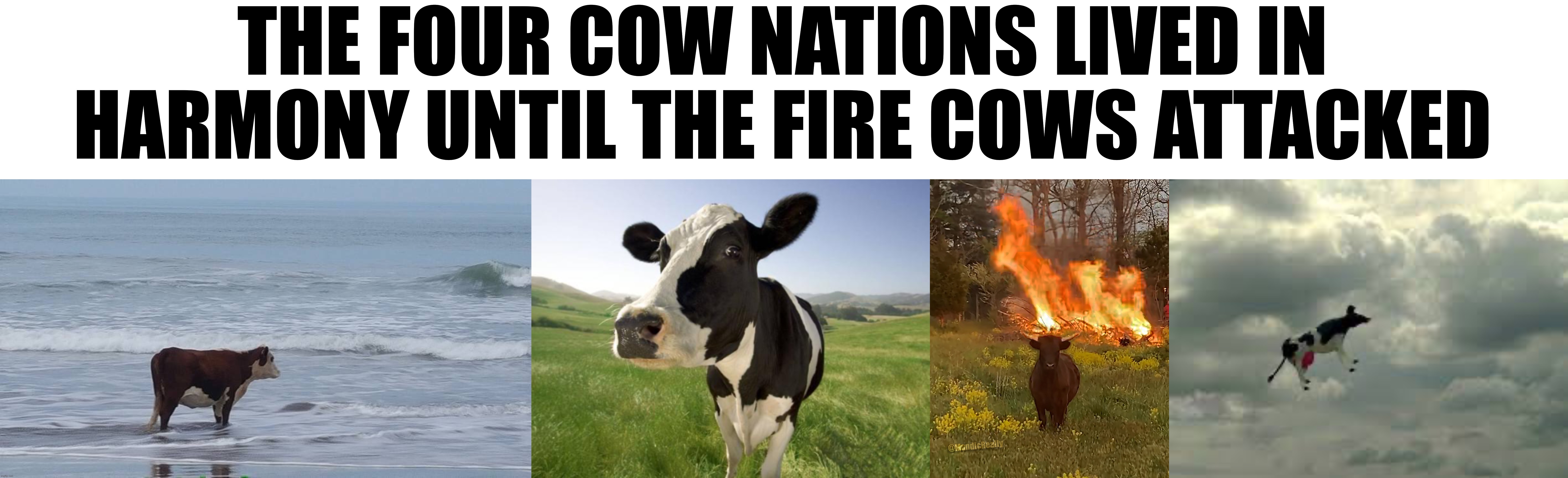 should bring back the Cow arc of msmg fr fr | THE FOUR COW NATIONS LIVED IN HARMONY UNTIL THE FIRE COWS ATTACKED | image tagged in sad cow,cow,fire cow | made w/ Imgflip meme maker