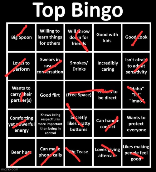 wouldn't mind being a bottom ;3 | image tagged in top bingo | made w/ Imgflip meme maker