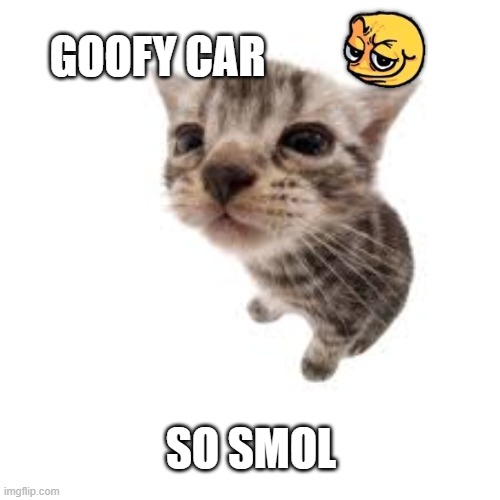 goofy car smh | GOOFY CAR; SO SMOL | image tagged in smh,car,cats,that's just silly cat | made w/ Imgflip meme maker