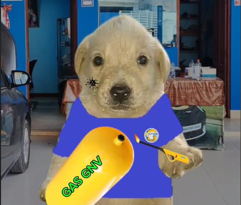 Perrito con tanque de gas Blank Meme Template