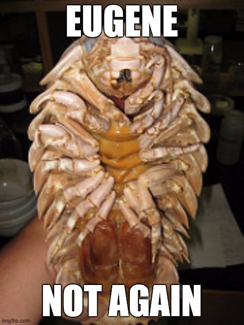 isopod wants a hug | EUGENE NOT AGAIN | image tagged in isopod wants a hug | made w/ Imgflip meme maker