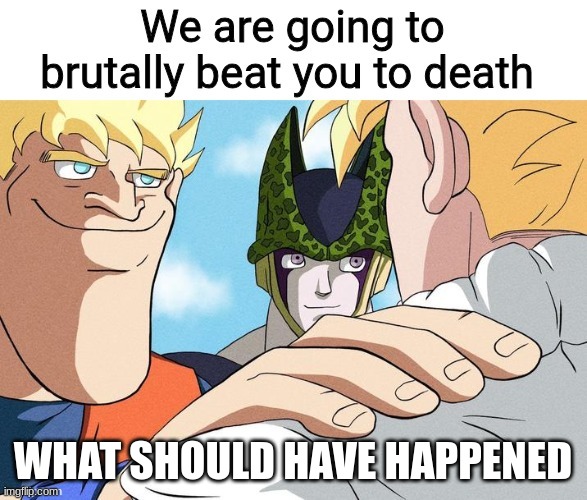 We are going to brutally beat you to death | WHAT SHOULD HAVE HAPPENED | image tagged in we are going to brutally beat you to death | made w/ Imgflip meme maker